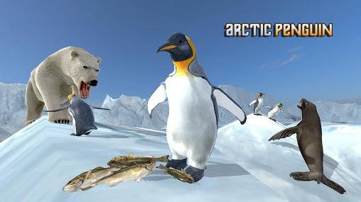 download Arctic penguin apk